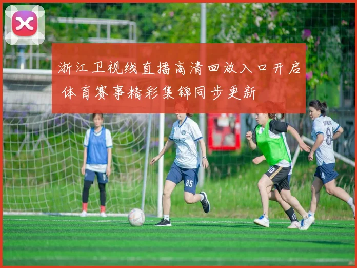 浙江卫视线直播高清回放入口开启 体育赛事精彩集锦同步更新